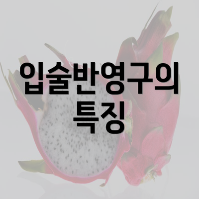 입술반영구의 특징