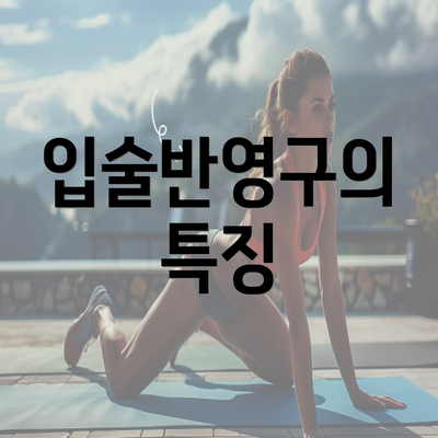 입술반영구의 특징