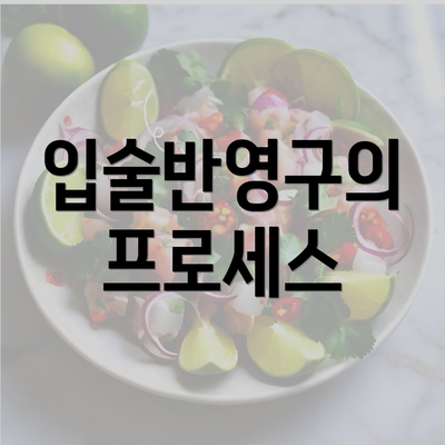 입술반영구의 프로세스