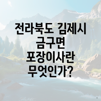 전라북도 김제시 금구면 포장이사란 무엇인가?