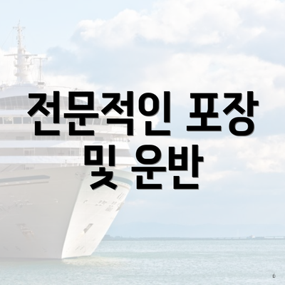 전문적인 포장 및 운반