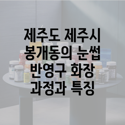 제주도 제주시 봉개동의 눈썹 반영구 화장 과정과 특징