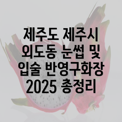 제주도 제주시 외도동 눈썹 및 입술 반영구화장 2025 총정리