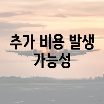 추가 비용 발생 가능성