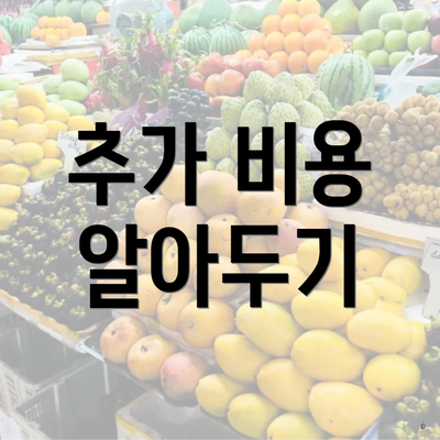 추가 비용 알아두기