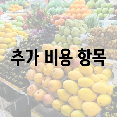 추가 비용 항목