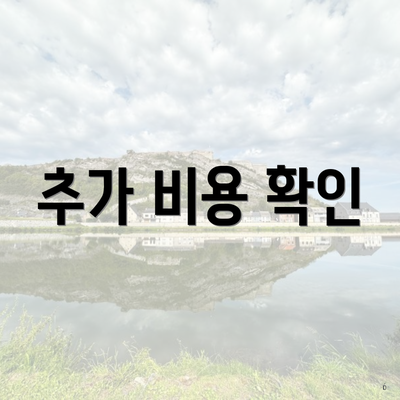 추가 비용 확인