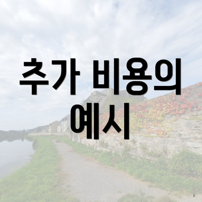 추가 비용의 예시