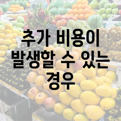 추가 비용이 발생할 수 있는 경우