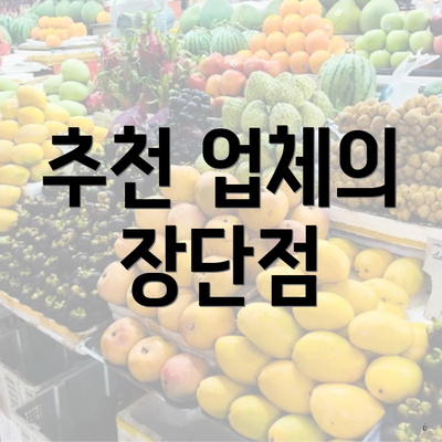 추천 업체의 장단점