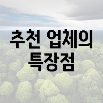 추천 업체의 특장점