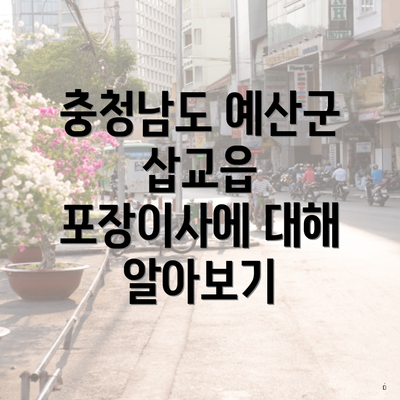 충청남도 예산군 삽교읍 포장이사에 대해 알아보기