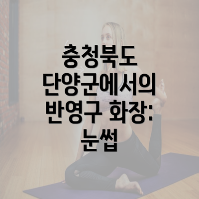 충청북도 단양군에서의 반영구 화장: 눈썹