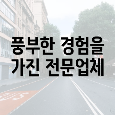 풍부한 경험을 가진 전문업체