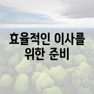 효율적인 이사를 위한 준비