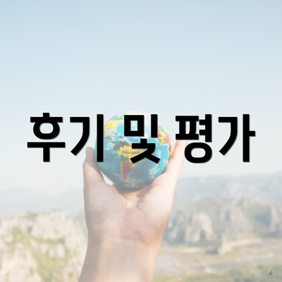 후기 및 평가