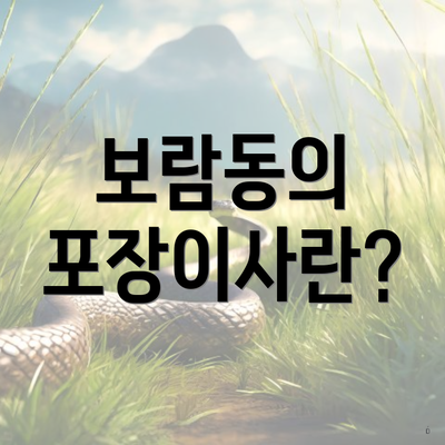 보람동의 포장이사란?
