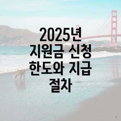 2025년 지원금 신청 한도와 지급 절차