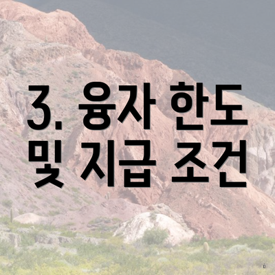 3. 융자 한도 및 지급 조건