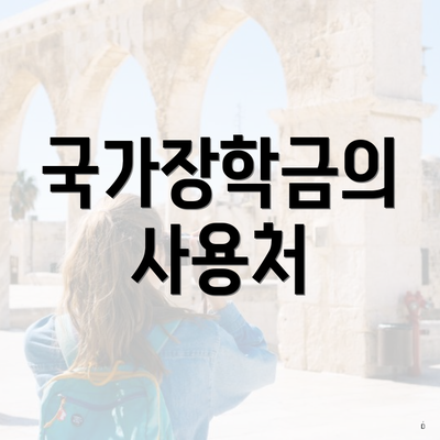 국가장학금의 사용처