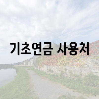 기초연금 사용처