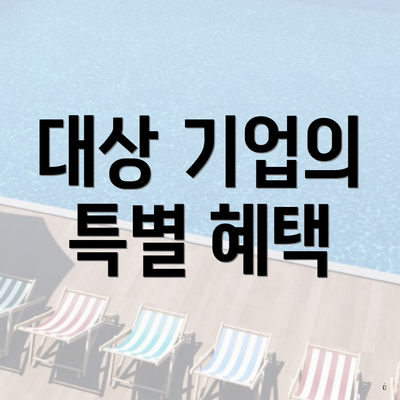 대상 기업의 특별 혜택