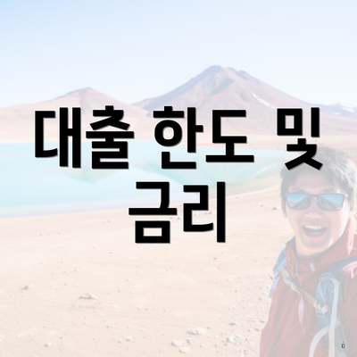 대출 한도 및 금리