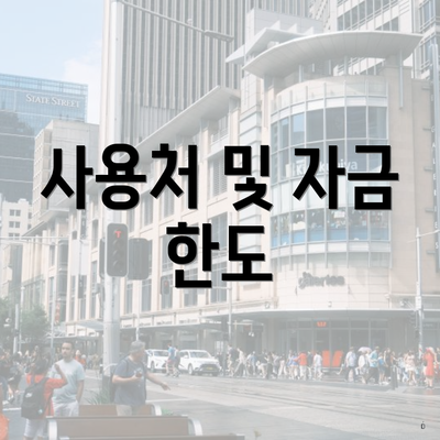 사용처 및 자금 한도
