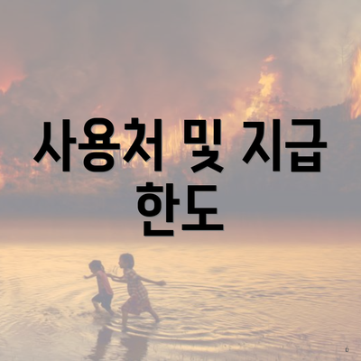 사용처 및 지급 한도