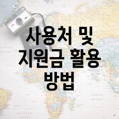 사용처 및 지원금 활용 방법