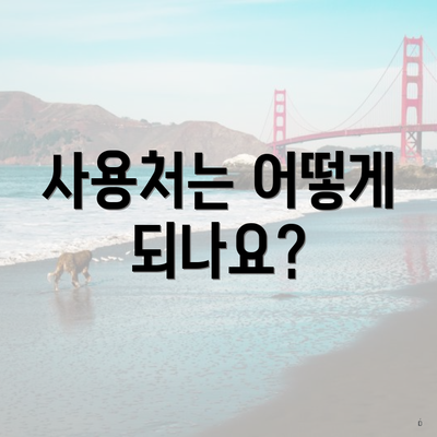 사용처는 어떻게 되나요?