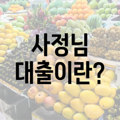 사정님 대출이란?
