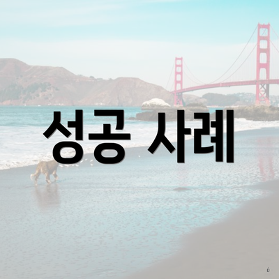 성공 사례