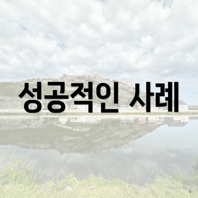 성공적인 사례
