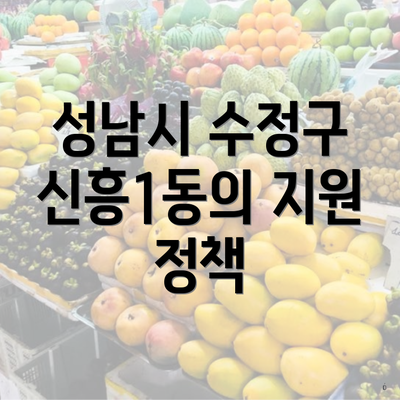성남시 수정구 신흥1동의 지원 정책
