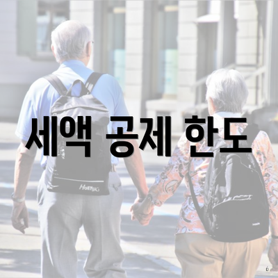 세액 공제 한도