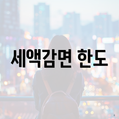 세액감면 한도