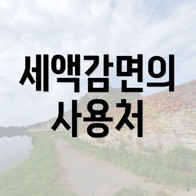 세액감면의 사용처