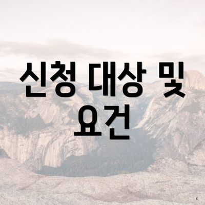 신청 대상 및 요건