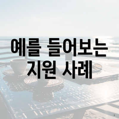 예를 들어보는 지원 사례
