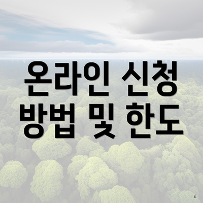 온라인 신청 방법 및 한도