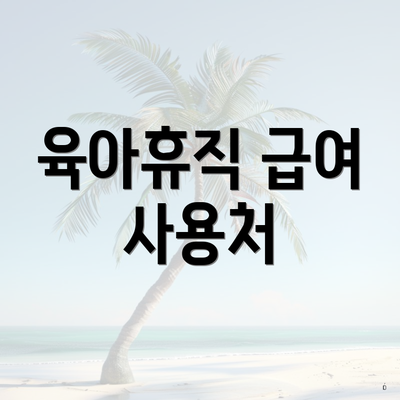 육아휴직 급여 사용처