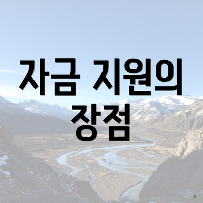 자금 지원의 장점