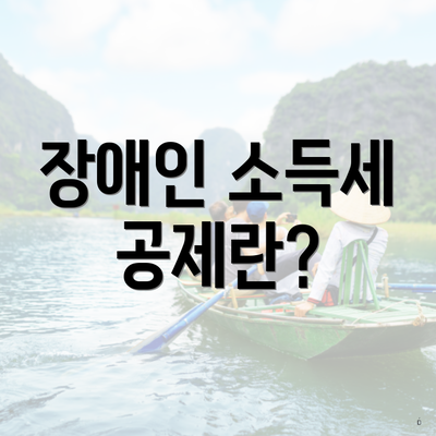장애인 소득세 공제란?