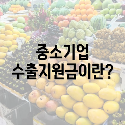 중소기업 수출지원금이란?