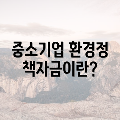 중소기업 환경정책자금이란?