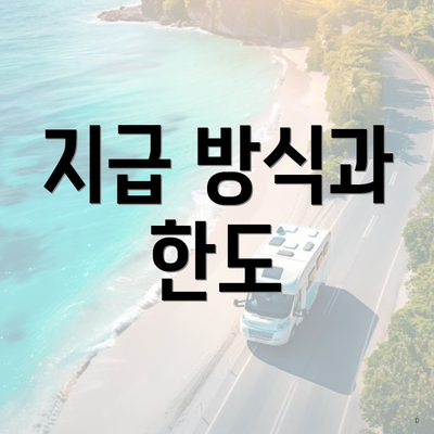 지급 방식과 한도
