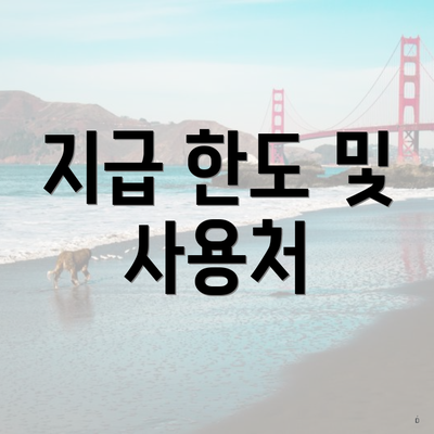 지급 한도 및 사용처