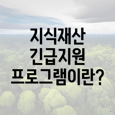 지식재산 긴급지원 프로그램이란?