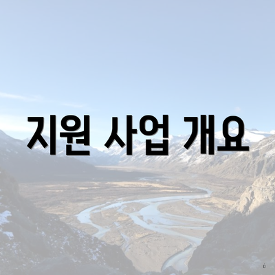 지원 사업 개요